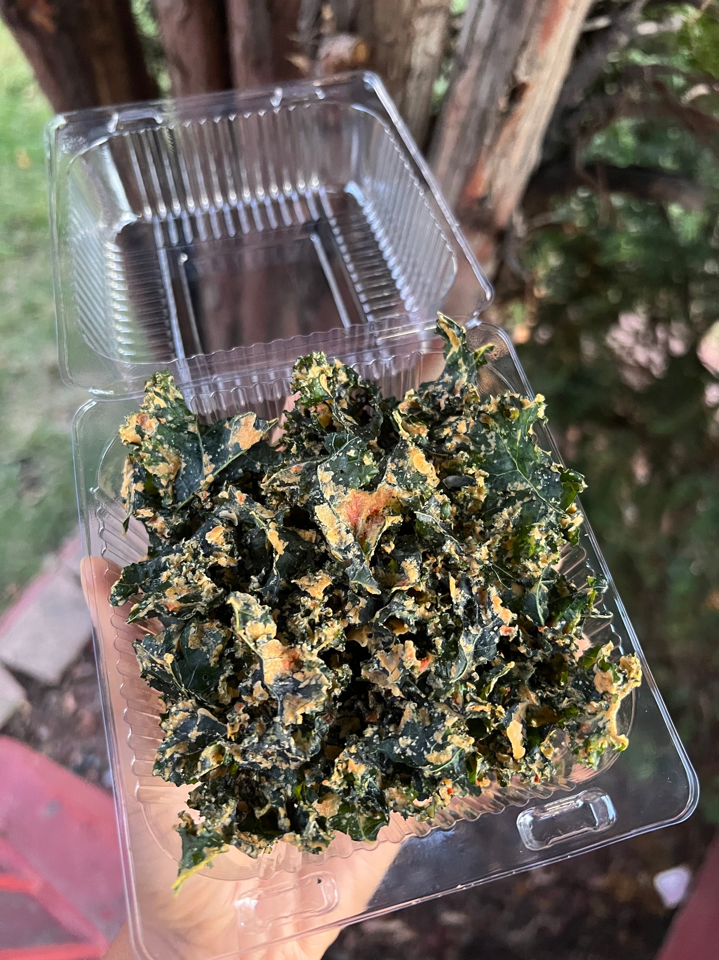 Cheesy Kale Chips